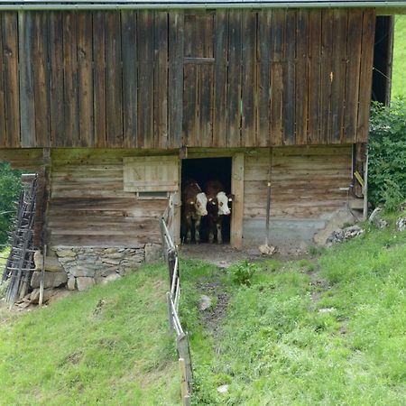 Bergpension-Ebental Brixen im Thale Bagian luar foto