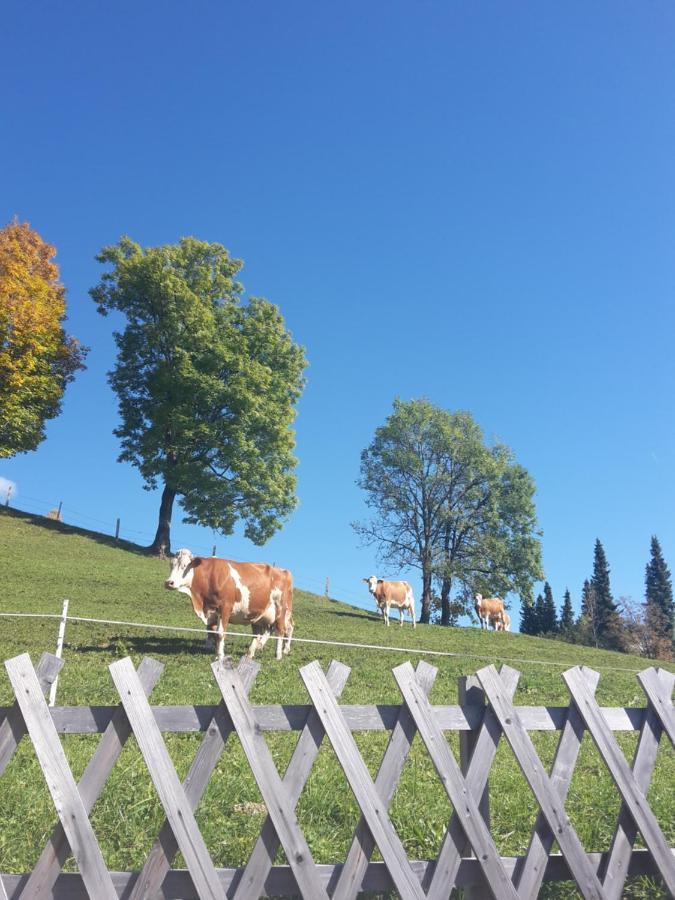 Bergpension-Ebental Brixen im Thale Bagian luar foto