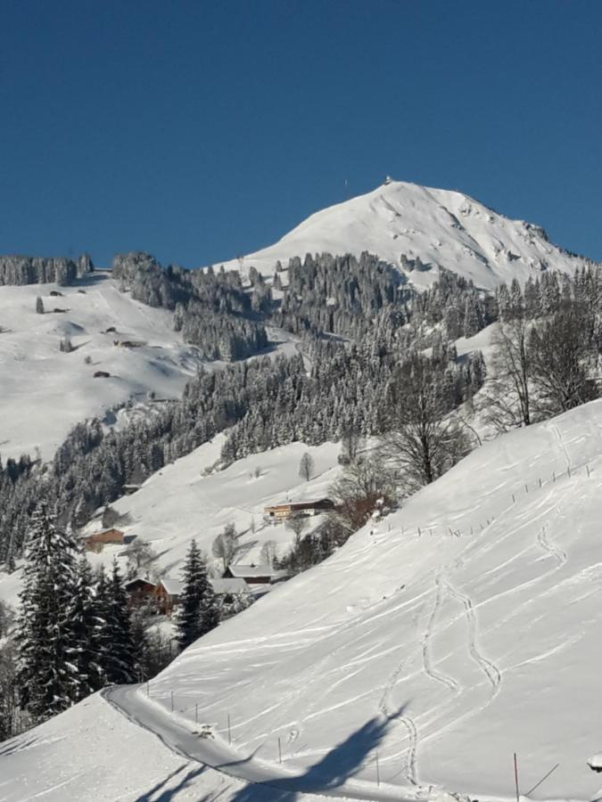 Bergpension-Ebental Brixen im Thale Bagian luar foto