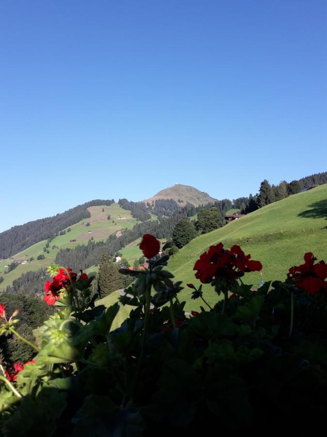 Bergpension-Ebental Brixen im Thale Bagian luar foto