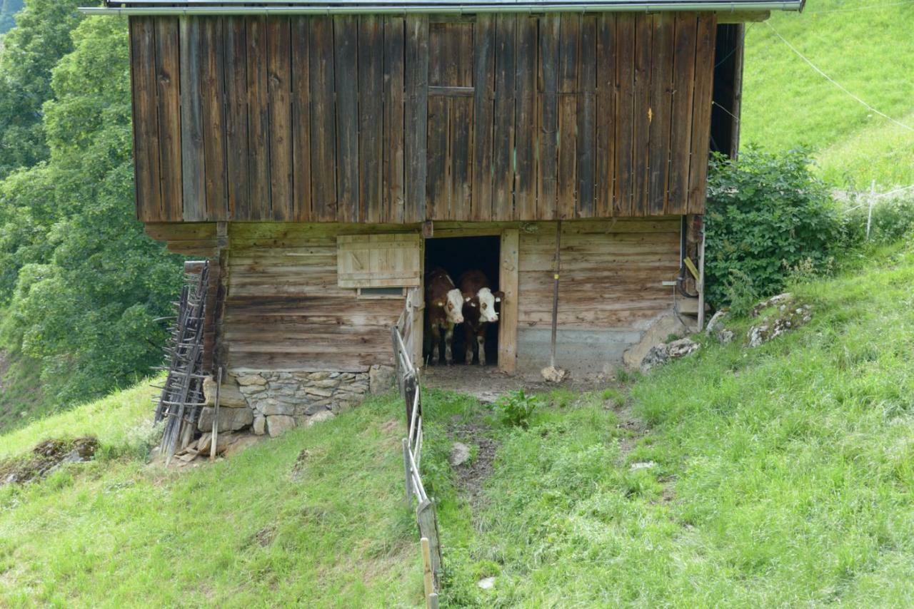 Bergpension-Ebental Brixen im Thale Bagian luar foto